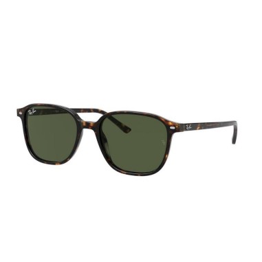 Ray-Ban LEONARD RB2193 902/31