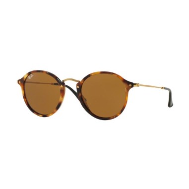 Ray-Ban RB2447 1160