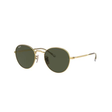 Ray-Ban DAVID RB3582 001/31