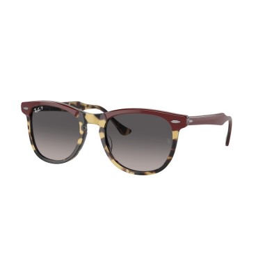 Ray-Ban EAGLEEYE RB2398 1377M3