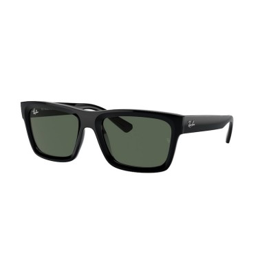 Ray-Ban WARREN RB4396 667771