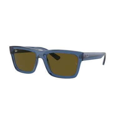 Ray-Ban WARREN RB4396 668073