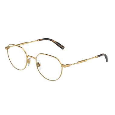 Dolce & Gabbana DG1349 02