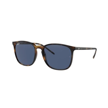 Ray-Ban RB4387 710/80