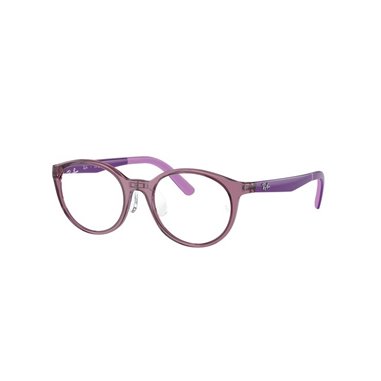 Ray-Ban Junior RY1625D 3909